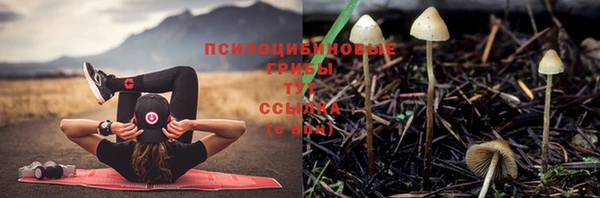 каннабис Алексин