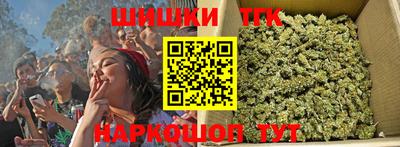 индика Славгород