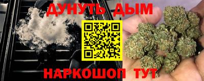 индика Славгород