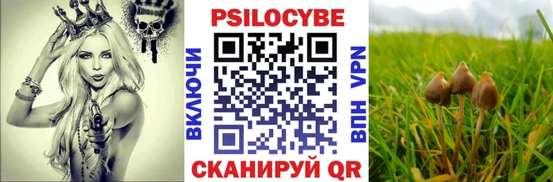 Псилоцибиновые грибы прущие грибы  Заинск 