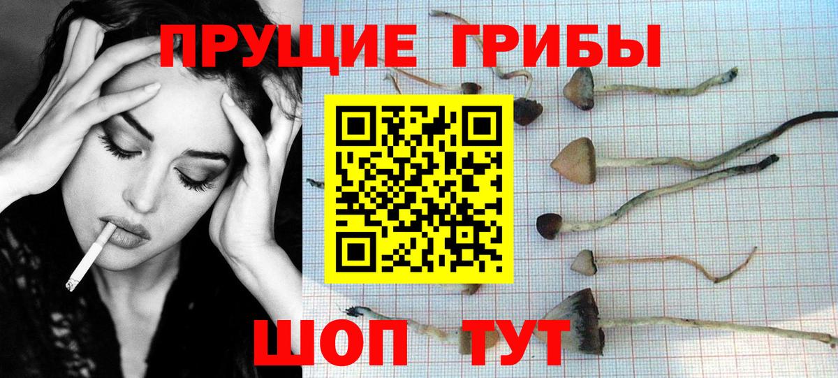купить   Вход с VPN  Псилоцибиновые грибы Cubensis  Заинск  Псилоцибиновые грибы мухоморы 