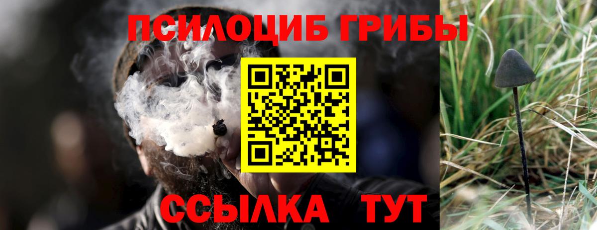 Псилоцибиновые грибы Cubensis Заинск